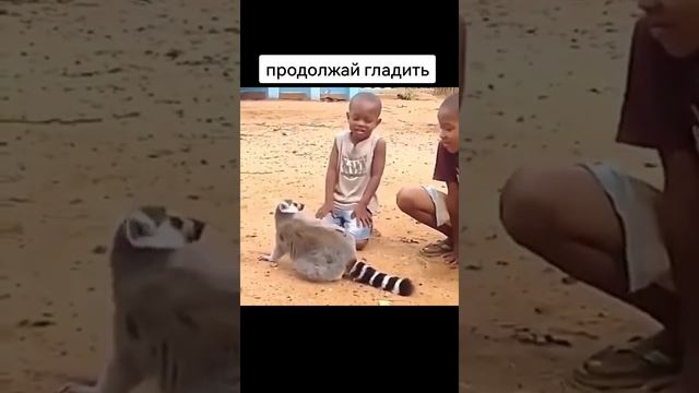 Погладь ещё смотреть онлайн