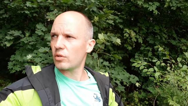 Что можно есть в лесу? Ленинградской области. смотреть онлайн
