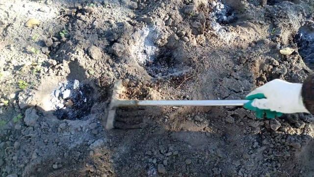 2 способа посадки чеснока под зиму смотреть онлайн