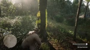 Убийство легендарного бобра в RDR2