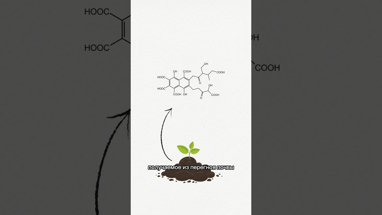 Фульвовая кислота #химия