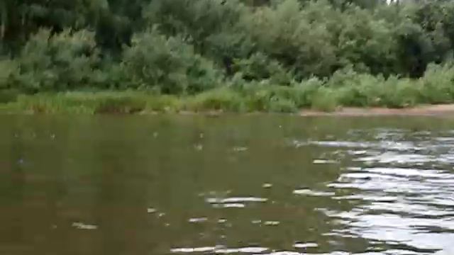 Плывущая белка смотреть онлайн