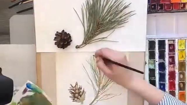 Урок рисование. Как научиться поэтапно рисовать еловую ветку с шишкой? Ускоренное видео. смотреть онлайн