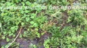 купили Дачу с Проблемой - высокий уровень грунтовых вод Обзор участка, как осушить участок?