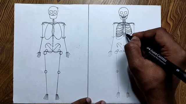 How to draw human skeleton step by step very easy method смотреть онлайн