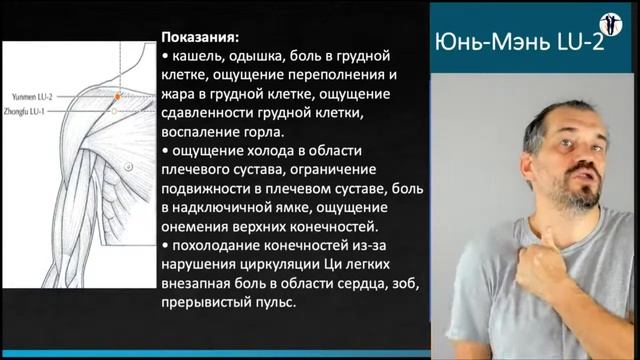 Лекторий, меридиан легких