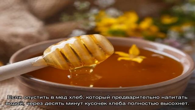 Отличия натурального меда от фальсификата смотреть онлайн