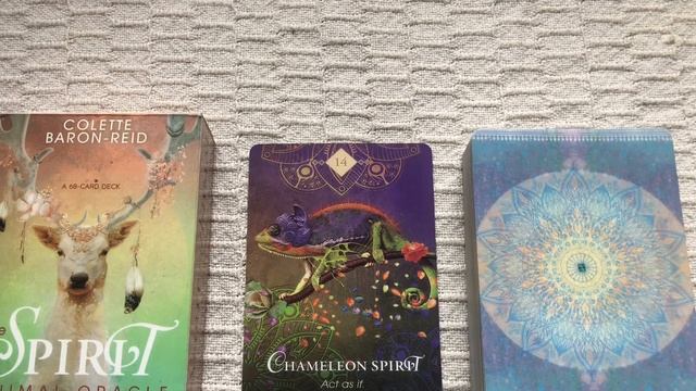 The Animal Spirit Oracle 14/68 Chameleon guide book audio description смотреть онлайн
