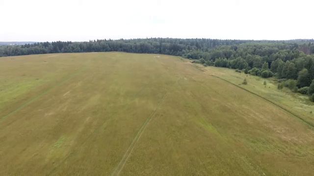 Подсолнух Парк смотреть онлайн