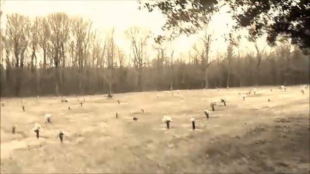 Shakespere Sonnet 71 - Michael смотреть онлайн