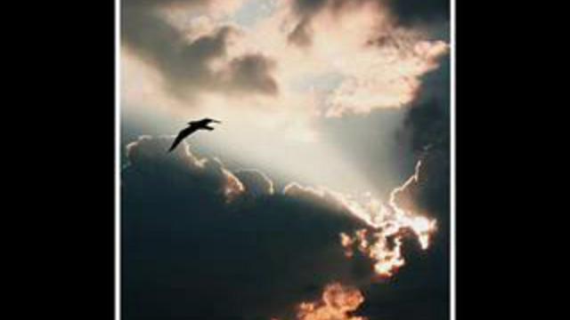 Финляндия смотреть онлайн