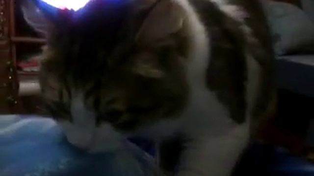 ОШИБКА ПРИРОДЫ смотреть онлайн