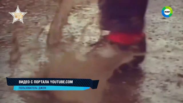 хит парад ко дню предпринимателя смотреть онлайн