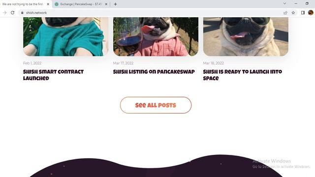 ShishNetwork all in one смотреть онлайн