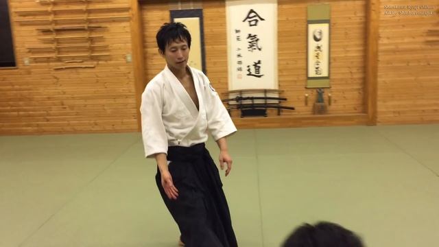 Dynamic and elegant martial arts ‐ Aikido смотреть онлайн