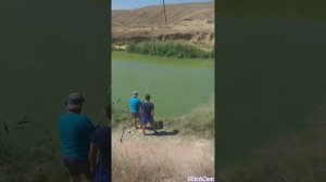 Рыбалка на Донузлаве с друзьями