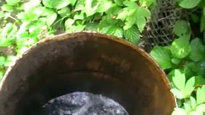 Насос водяной НМЦ-МБ