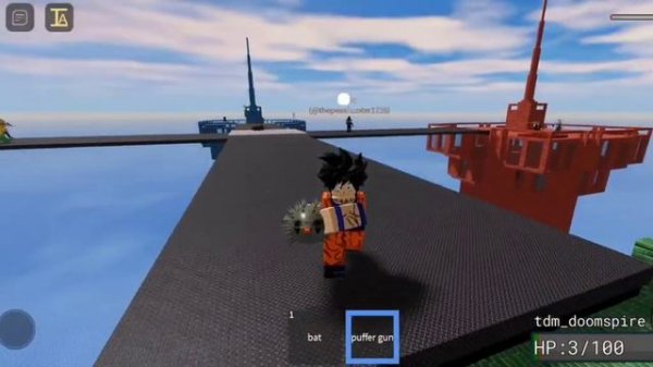 roblox item asylum with goofy music in the background ??