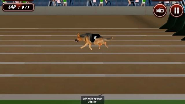 Dog Race Sim 2020 Dog Racing Games bestcrazygames смотреть онлайн
