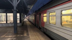 Электропоезда «ЭД4М», «Ласточка» и «ЭП2Д», на станции МЦД (D4) «Новогиреево» // 11 ноября 2023 года