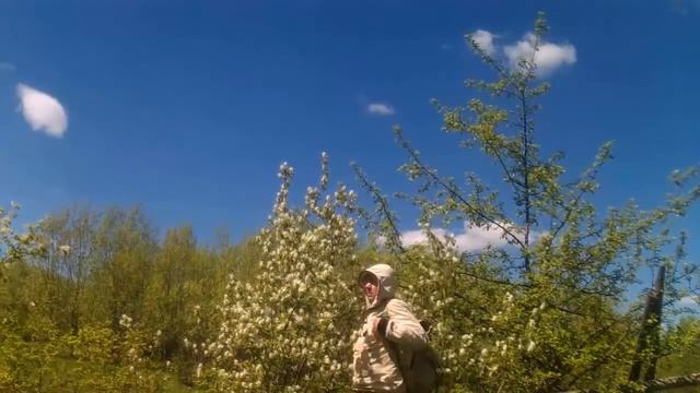 Череп Чупакабры или смертельная опасность в лесу смотреть онлайн