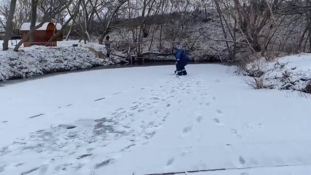 Платная рыбалка, пруд Чёрные камни 23.11.20г. Уловы рыбаков смотреть онлайн