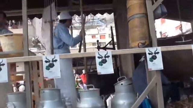 Fasnacht Ennetbürgen смотреть онлайн
