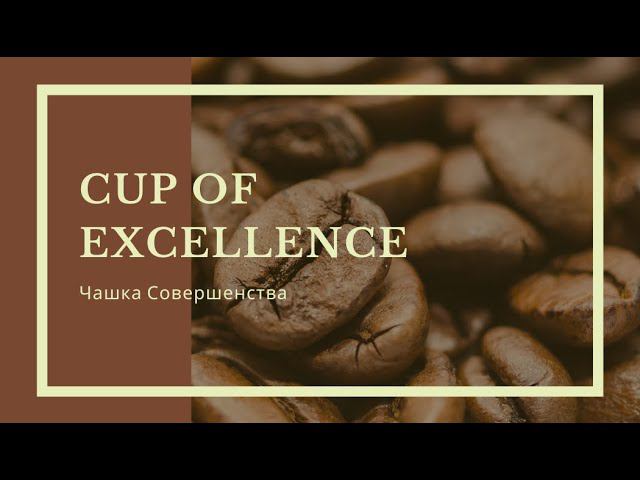 Cup of Excellence смотреть онлайн