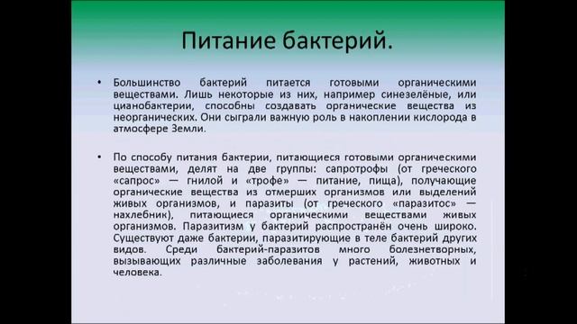 Строение и жизнедеятельность бактерий. Биология 5 класс смотреть онлайн