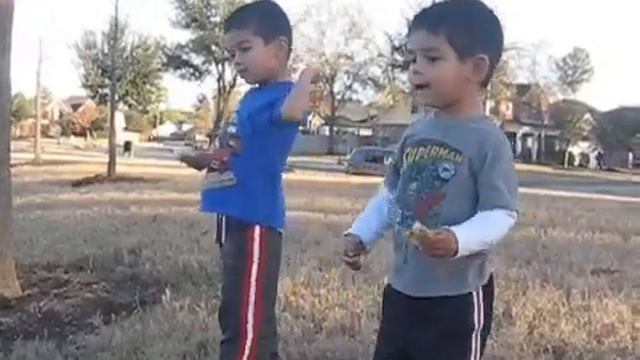 Feeding the Ducks - Part 1 смотреть онлайн