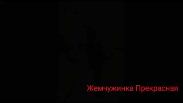 Красноклювый токо. смотреть онлайн