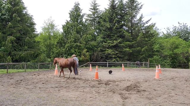 inviting Sugar Babe to play the clicker game смотреть онлайн