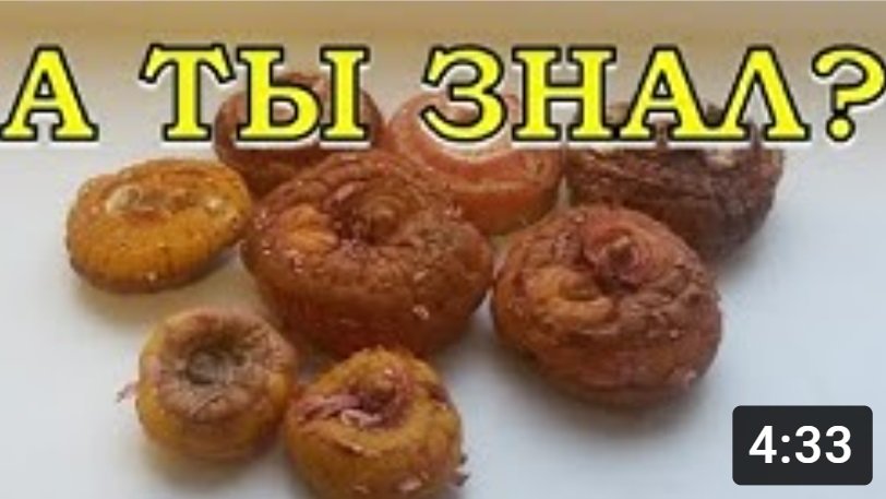 ГЛАДИОЛУСЫ: подготовка луковиц к посадке??? смотреть онлайн