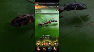 the ants underground kingdom носители топ отряд для носителей