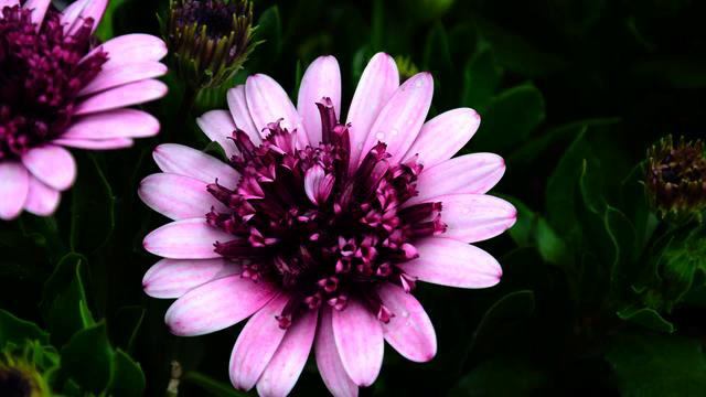 Слушать самую новую песню в машину онлайн смотреть онлайн