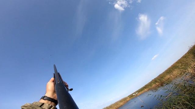 Охота с махОкрылами ЁКЛМН Утка перла как дурная Охота на уток осенью. Кряква 2022 Махокрылы купить смотреть онлайн