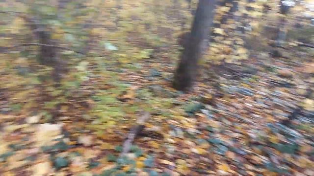 Незнакомка-Незабудка видео специально для вас) смотреть онлайн