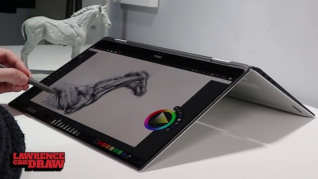 3DTotal Horse Equine Anatomy Drawing Reference Figure Review