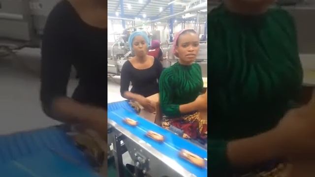 Упаковщицы печенья на конвейере смотреть онлайн