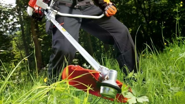 Echo 2620 Vs Echo 225 Trimmer: Don't Buy Until You Watch This!