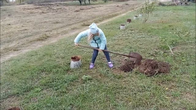 Сентябрьские выходные на даче.Едем за город. смотреть онлайн