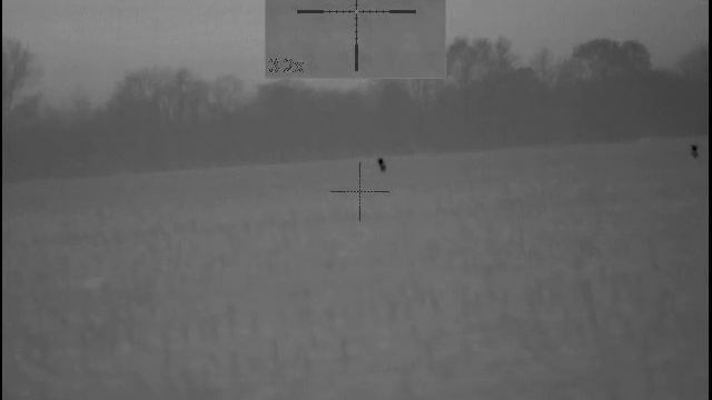 #19 with the Pulsar Trail XP50 from Predator Hunter Outdoors смотреть онлайн