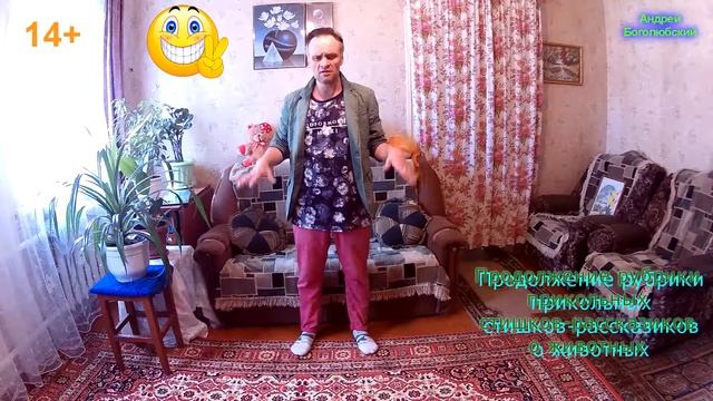 14+ *** Рубрика - Весёлые байки леса *** Стих №6: "Про кота и пса" смотреть онлайн