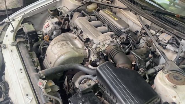 3S 9249100 CURREN ST206 смотреть онлайн