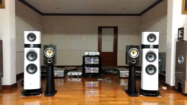 FOCAL SOPRA No.3 With Life Audio cable. смотреть онлайн