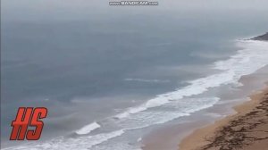 Топ 5 Годзила снятый на камеру. Godzilla on camera.