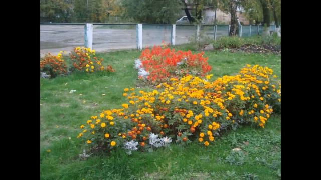 ЛИСТЬЯ МЕДЛЕННО ПАДАЮТ....wmv смотреть онлайн