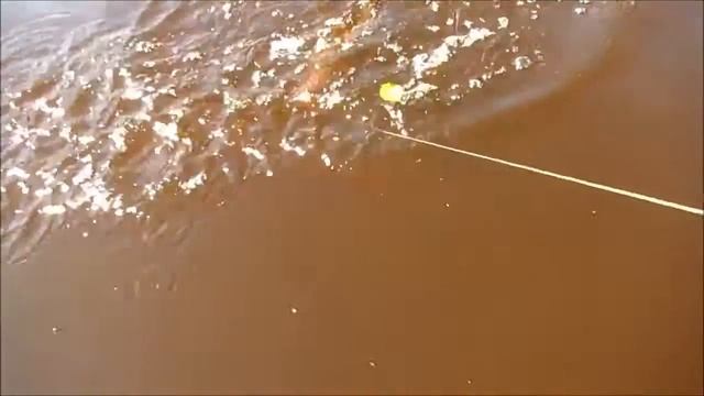 Рыбалка на Оскуе смотреть онлайн