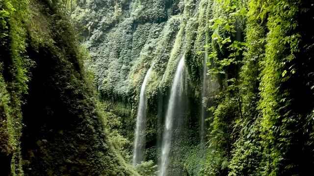 3 HOURS Of Water Falling, Sound For Sleep, Study, Work, Relax, Insomnia, Reducing Stress, Meditatio