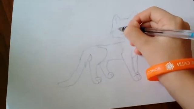 Мастер класс как нарисовать кота воителя смотреть онлайн